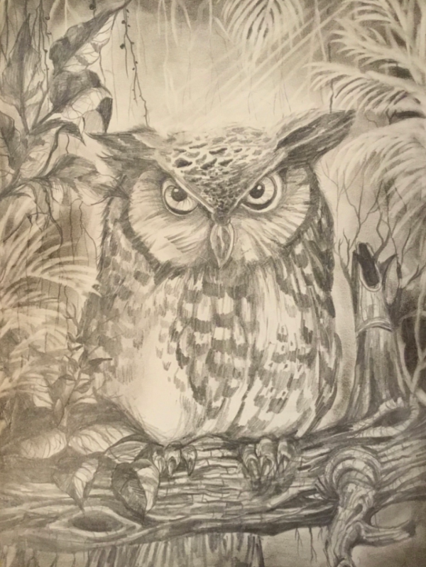 Owl in the Jungle